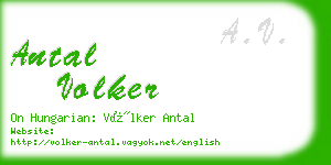 antal volker business card